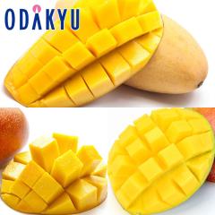 �������� �썑�t���[�c �{�� & ���E�̃}���S�[ �H�ה�׃Z�b�g �b7-12�����x�ł̂��͂�������E�����ւ͓͕s��(��)