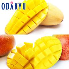 �������� �썑�t���[�c ���E�̃}���S�[ �H�ה�׃Z�b�g �b7-12�����x�ł̂��͂�������E�����ւ͓͕s��(��)