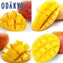�������� ���[���h�}���S�[ �H�ה�׃Z�b�g �{��}���S�[ ���� �b7-12�����x�ł̂��͂�������E�����ւ͓͕s��(��)