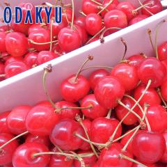 �������� ���������� �i��͂��܂��� �������� 1kg ����100�Z�b�g �b6�����{�ȍ~�̂��͂�������E�����ւ͓͕s��(��)