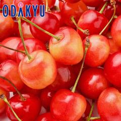 �������� ���������� �Ȃɂ����邩�͂��y���� �������� 500g �b6�����{�ȍ~�̂��͂�������E�����ւ͓͕s��(��)