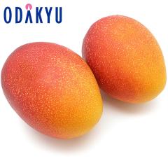 �������� ���������� 3L �ȏ� ��� �{�茧�Y ���n�}���S�[ �~ 2�� �b7-12�����x�ł̂��͂�������E�����ւ͓͕s��(��)
