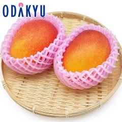�������� ���������� 2L �ȏ� �{�茧�Y ���n�}���S�[ �~ 2�� �b6�����{�ȍ~�̂��͂�������E�����ւ͓͕s��(��)