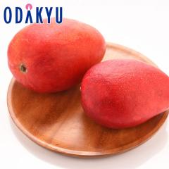 �������� ���������� ����}���S�[ 2L �~ 2�ʋl�� �b6�����{�ȍ~�̂��͂�������E�����ւ͓͕s��(��)