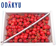 �������� �������� �R�`���Y �g�G�� ���G L 1kg �o�� �b6�����{�ȍ~�̂��͂�������E�����ւ͓͕s��(��)