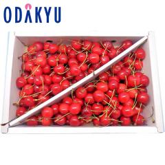 �������� �������� �R�`���Y �g�G�� �G 2L 1kg �o�� �b6�����{�ȍ~�̂��͂�������E�����ւ͓͕s��(��)