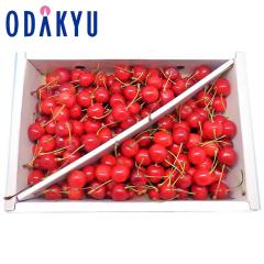 �������� �������� �R�`���Y �g�G�� �G 1kg �o�� �b6�����{�ȍ~�̂��͂�������E�����ւ͓͕s��(��)
