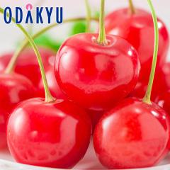 �������� �������� ��܂����g�� �V�i�� �b6�����{�ȍ~�̂��͂�������E�����ւ͓͕s��(��)