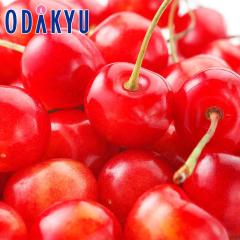 �������� �R�`���Y ���� �������� 500g�Z�b�g �b7-12�����x�ł̂��͂�������E�����ւ͓͕s��(��)