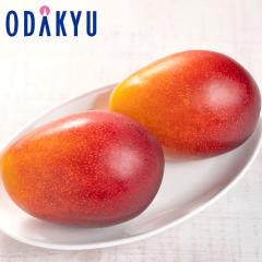 �������� �{�茧�Y ���n�}���S�[ ���z�̃^�}�S A 4L 2�ʋl�� �b7-12�����x�ł̂��͂�������E�����ւ͓͕s��(��)