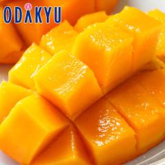 �������� �F�{���Y ���n�}���S�[ 4L �~ 2�� �b6�����{�ȍ~�̂��͂�������E�����ւ͓͕s��(��)