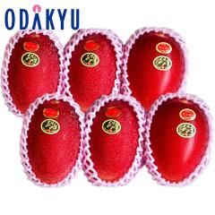 �}���S�[ �������� �������D�K�i ���z�̃^�}�SA 2L �~ 6�� �b6�����{�ȍ~�̂��͂�������E�����ւ͓͕s��(��)