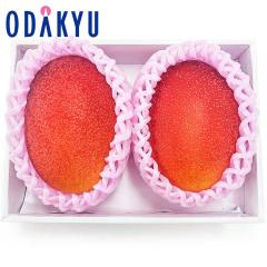 �������� �������D�K�i �{�芮�n�}���S�[ 2L �~ 2�� �b6�����{�ȍ~�̂��͂�������E�����ւ͓͕s��(��)