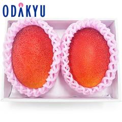 �������� �������D�K�i �{�芮�n�}���S�[ L �~ 2�� �b6�����{�ȍ~�̂��͂�������E�����ւ͓͕s��(��)