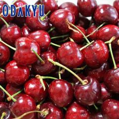 �������� �������� �J���t�H���j�A�Y �A�����J���`�F���[ 2kg �嗱 �b6�����{�ȍ~�̂��͂�������E�����ւ͓͕s��(��)