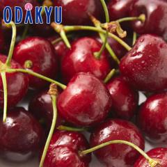 �������� �������� �J���t�H���j�A�Y �A�����J���`�F���[ 1kg �b6�����{�ȍ~�̂��͂�������E�����ւ͓͕s��(��)