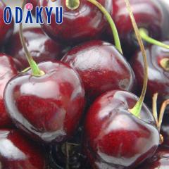 �������� �������� ���V���g���Y �A�����J���`�F���[ 1kg �嗱 �b6�����{�ȍ~�̂��͂�������E�����ւ͓͕s��(��)