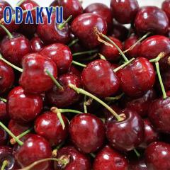�������� �������� ���V���g���Y �A�����J���`�F���[ 2kg �嗱 �b6�����{�ȍ~�̂��͂�������E�����ւ͓͕s��(��)