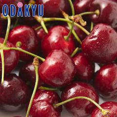 �������� �������� ���V���g���Y �A�����J���`�F���[ 1kg �b6�����{�ȍ~�̂��͂�������E�����ւ͓͕s��(��)