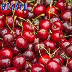 �������� �������� ���V���g���Y �A�����J���`�F���[ 2kg �b6�����{�ȍ~�̂��͂�������E�����ւ͓͕s��(��)