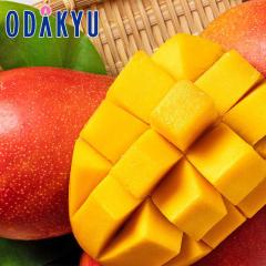 �������� ��p�}���S�[ 3�`4�� 1.2kg �b6�����{�ȍ~�̂��͂�������E�����ւ͓͕s��(��)