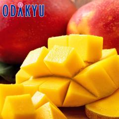�������� ��p�}���S�[ 2�� �b6�����{�ȍ~�̂��͂�������E�����ւ͓͕s��(��)