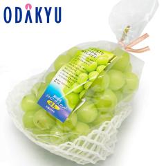 �u�h�E �������� ���R���Y �V���C���}�X�J�b�g ���� 1�[���� �b7-12�����x�ł̂��͂�������E�����ւ͓͕s��(��)