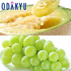 �������� �É����Y �N���E���}�X�N������ & �V���C���}�X�J�b�g �b7-12�����x�ł̂��͂�������E�����ւ͓͕s��(��)