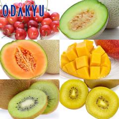 �������� �����Ղ�6���̃t���[�c�Z�b�g �b7-12�����x�ł̂��͂�������E�����ւ͓͕s��(��)