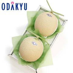 �������� ���Y�Ҍ��� �É����Y �}�X�N������ �A���[�}������ 2�� �b7-12�����x�ł̂��͂�������E�����ւ͓͕s��(��)
