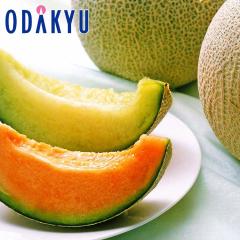 �������� ���x14�x�ȏ���� ���I�� & �΃������Z�b�g �b7-12�����x�ł̂��͂�������E�����ւ͓͕s��(��)