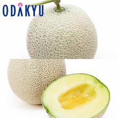 �������� �H�ה�� �}�X�N������ & �A�[���X������ �b7-12�����x�ł̂��͂�������E�����ւ͓͕s��(��)