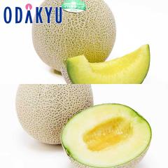 �������� �H�ה�� �C �o���L���O & �A�[���X������ �b7-12�����x�ł̂��͂�������E�����ւ͓͕s��(��)