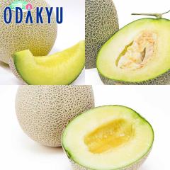 �������� �H�ה�� ���������O�� 3�ʃZ�b�g �b7-12�����x�ł̂��͂�������E�����ւ͓͕s��(��)