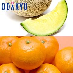 �������� �É����Y �A���[�}�}�X�N������ & ���S�����݂��� �G ��2.5kg |7-12�����x�ł̂��͂��������E����ւ͓͕s��(��)