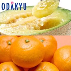 �������� �É����Y �N���E���}�X�N������ & ���S�����݂��� �G ��2.5kg |7-12�����x�ł̂��͂��������E����ւ͓͕s��(��)