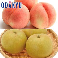 �� �i�V �a�� �������� �����x���� & �����x�K���� �G ��1.8kg |7-12�����x�ł̂��͂��������E����ւ͓͕s��(��)