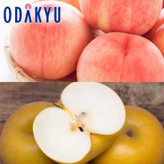 �� �i�V �a�� �������� �����Ղ荂���x���� & �����x�K���� �G ��3.5kg |7-12�����x�ł̂��͂��������E����ւ͓͕s��(��)