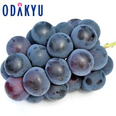 �Ԃǂ� �������� ���쌧�Y ���� L �G ��0.9kg�b8�����{�ȍ~�̂��͂�������E�����ւ͓͕s��(��)