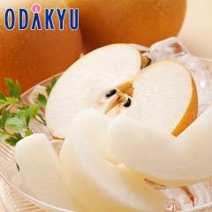 �i�V �a�� �������� �󒍔̔� �V�����Y �V���� 12�`16�� ��4.8kg �b9�����{�ȍ~�̂��͂�������E�����ւ͓͕s��(��)
