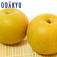 �i�V �a�� �������� �󒍔̔� �V�����Y �V�� 6�� ��2kg �b9�����{�ȍ~�̂��͂�������E�����ւ͓͕s��(��)