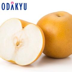 �i�V �a�� �������� �󒍔̔� ��錧�Y �b�� 4�`5�� ��2kg �b9����{�ȍ~�̂��͂�������E�����ւ͓͕s��(��)