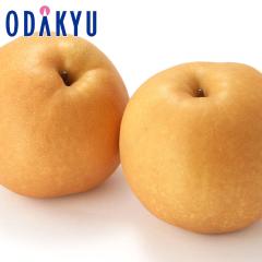 �i�V �a�� �������� �󒍔̔� ���挧�Y�� �V�� 6�� ��2kg �b11�����{�ȍ~�̂��͂�������E�����ւ͓͕s��(��)