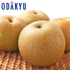 �i�V �a�� �������� �K���� 6�� ��2kg |7-12�����x�ł̂��͂��������E����ւ͓͕s��(��)