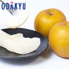 �i�V �a�� �������� �V�Ð� 6�� ��2kg �b8�����{�ȍ~�̂��͂�������E�����ւ͓͕s��(��)