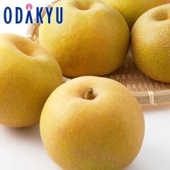 �i�V �a�� �������� �L���� 12�`16�� ��4.8kg |7-12�����x�ł̂��͂��������E����ւ͓͕s��(��)