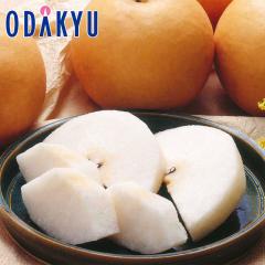 �i�V �a�� �������� ���x12�x�ȏ� �V���� 12�`16�� ��4.8kg �b9����{�ȍ~�̂��͂�������E�����ւ͓͕s��(��)