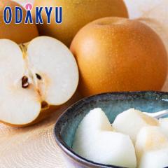 �i�V �a�� �������� ���x12�x�ȏ� �����Â��� 6�� ��2kg �b9�����{�ȍ~�̂��͂�������E�����ւ͓͕s��(��)