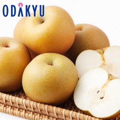 �i�V �a�� �������� �����Â��� 12�`16�� ��4.8kg �b9�����{�ȍ~�̂��͂�������E�����ւ͓͕s��(��)