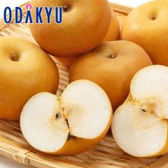 �i�V �a�� �������� ���x12�x�ȏ� �쐅�� 6�� ��2kg �b10�����{�ȍ~�̂��͂�������E�����ւ͓͕s��(��)